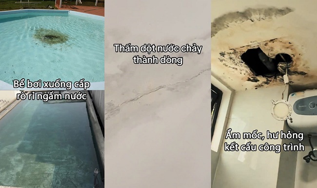 Quá trình thi công bể bơi bị rò rỉ ẩm mốc